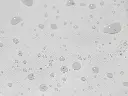 TTC_feesttent_pvc_pro_water.webp